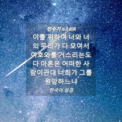 Picture 04 - 민수기 16:11 KOR - 이를 위하여 너와 너의 무리가 다 - Bible Verse Picture