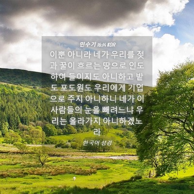 Picture 04 - 민수기 16:14 KOR - 이뿐 아니라 네가 우리를 젖과 꿀이 - Bible Verse Picture