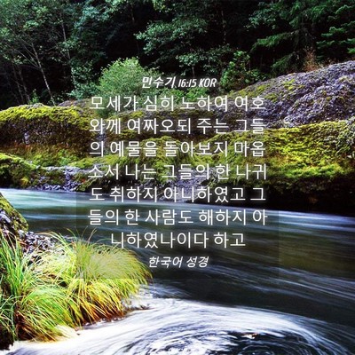 Picture 04 - 민수기 16:15 KOR - 모세가 심히 노하여 여호와께 - Bible Verse Picture