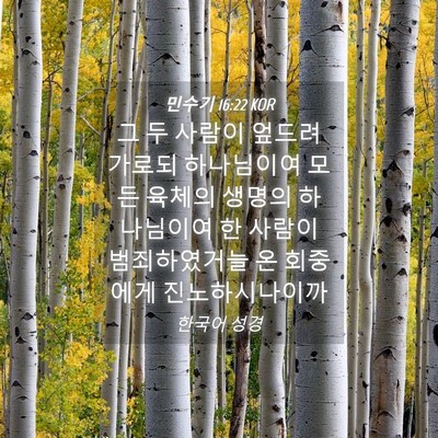 Picture 04 - 민수기 16:22 KOR - 그 두 사람이 엎드려 가로되 - Bible Verse Picture