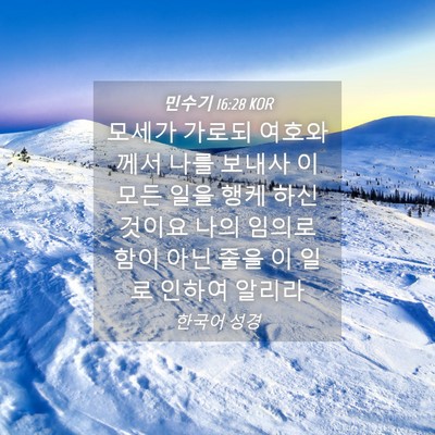Picture 04 - 민수기 16:28 KOR - 모세가 가로되 여호와께서 나를 - Bible Verse Picture