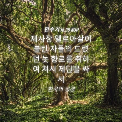 Picture 04 - 민수기 16:39 KOR - 제사장 엘르아살이 불탄 자들의 - Bible Verse Picture