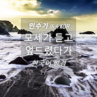 Picture 04 - 민수기 16:4 KOR - 모세가 듣고 - Bible Verse Picture