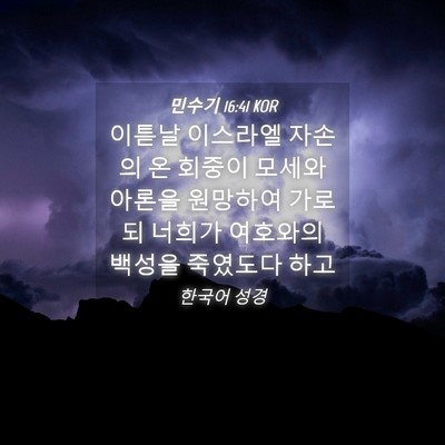 Picture 04 - 민수기 16:41 KOR - 이튿날 이스라엘 자손의 온 회중이 - Bible Verse Picture