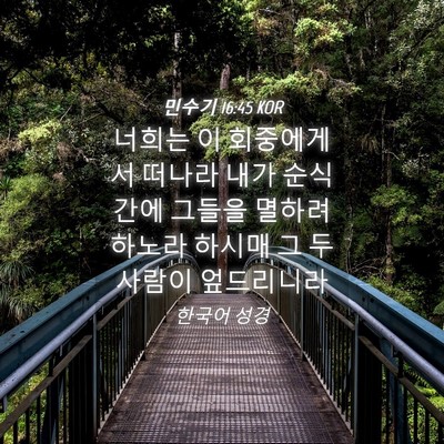 Picture 04 - 민수기 16:45 KOR - 너희는 이 회중에게서 떠나라 내가 - Bible Verse Picture