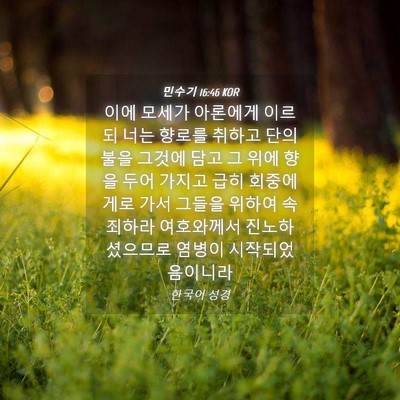 Picture 04 - 민수기 16:46 KOR - 이에 모세가 아론에게 이르되 너는 - Bible Verse Picture