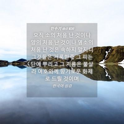 Picture 04 - 민수기 18:17 KOR - 오직 소의 처음 난 것이나 양의 처음 - Bible Verse Picture