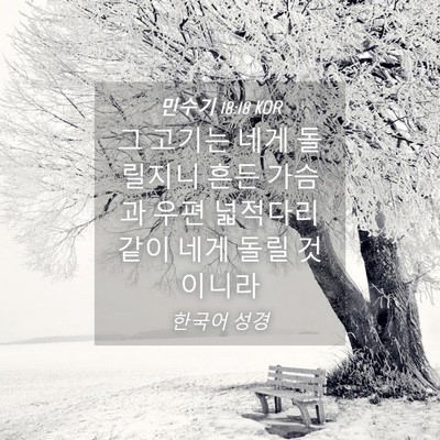 Picture 04 - 민수기 18:18 KOR - 그 고기는 네게 돌릴지니 흔든 - Bible Verse Picture