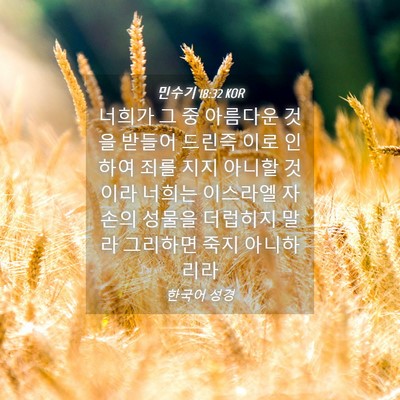 Picture 04 - 민수기 18:32 KOR - 너희가 그 중 아름다운 것을 받들어 - Bible Verse Picture