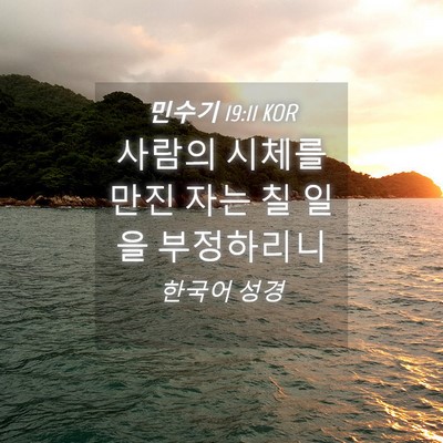 Picture 04 - 민수기 19:11 KOR - 사람의 시체를 만진 자는 칠 일을 - Bible Verse Picture