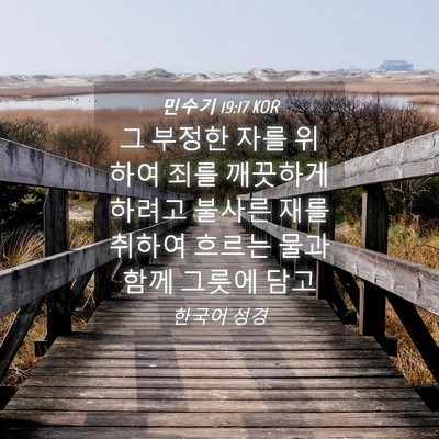 Picture 04 - 민수기 19:17 KOR - 그 부정한 자를 위하여 죄를 - Bible Verse Picture