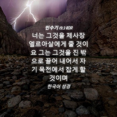Picture 04 - 민수기 19:3 KOR - 너는 그것을 제사장 엘르아살에게 줄 - Bible Verse Picture