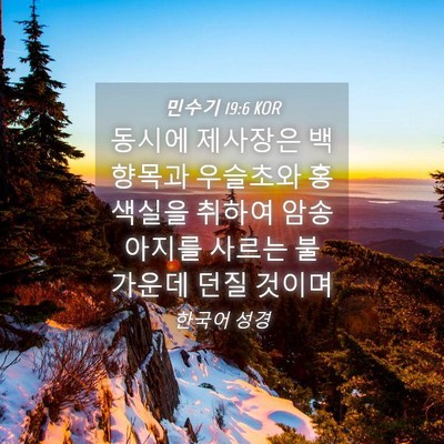Picture 04 - 민수기 19:6 KOR - 동시에 제사장은 백향목과 우슬초와 - Bible Verse Picture