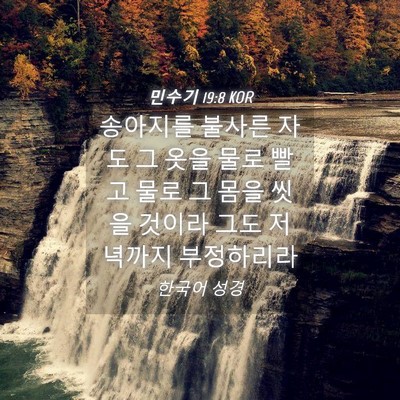 Picture 04 - 민수기 19:8 KOR - 송아지를 불사른 자도 그 옷을 물로 - Bible Verse Picture