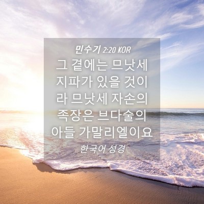 Picture 04 - 민수기 2:20 KOR - 그 곁에는 므낫세 지파가 있을 - Bible Verse Picture