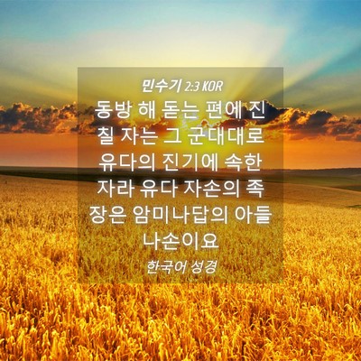 Picture 04 - 민수기 2:3 KOR - 동방 해 돋는 편에 진 칠 자는 그 - Bible Verse Picture