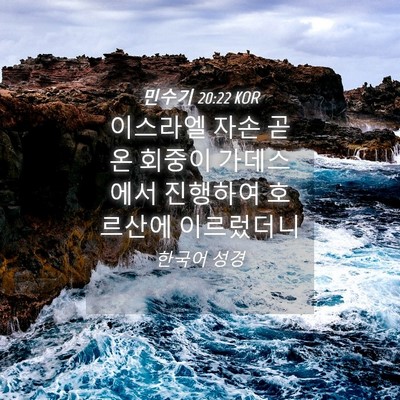 Picture 04 - 민수기 20:22 KOR - 이스라엘 자손 곧 온 회중이 - Bible Verse Picture