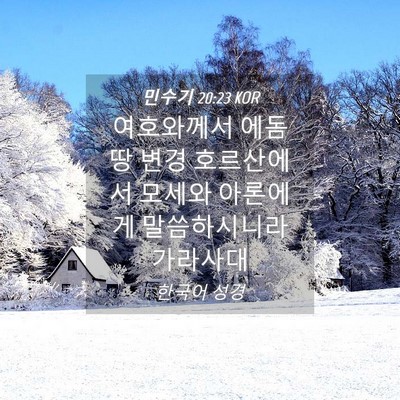 Picture 04 - 민수기 20:23 KOR - 여호와께서 에돔 땅 변경 호르산에서 - Bible Verse Picture