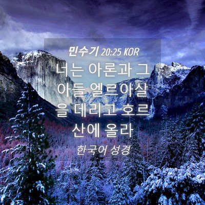 Picture 04 - 민수기 20:25 KOR - 너는 아론과 그 아들 엘르아살을 - Bible Verse Picture