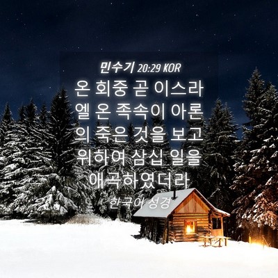 Picture 04 - 민수기 20:29 KOR - 온 회중 곧 이스라엘 온 족속이 - Bible Verse Picture