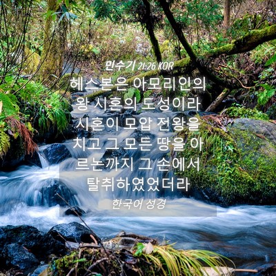 Picture 04 - 민수기 21:26 KOR - 헤스본은 아모리인의 왕 시혼의 - Bible Verse Picture