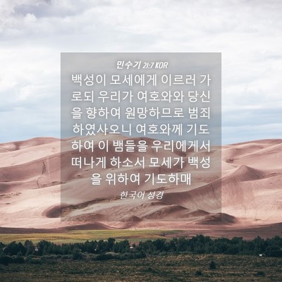 Picture 04 - 민수기 21:7 KOR - 백성이 모세에게 이르러 가로되 - Bible Verse Picture