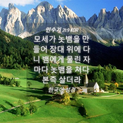 Picture 04 - 민수기 21:9 KOR - 모세가 놋뱀을 만들어 장대 위에 - Bible Verse Picture