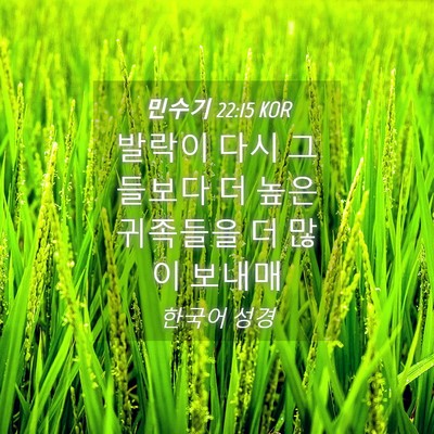 Picture 04 - 민수기 22:15 KOR - 발락이 다시 그들보다 더 높은 - Bible Verse Picture