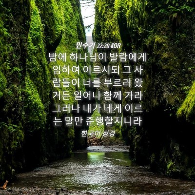 Picture 04 - 민수기 22:20 KOR - 밤에 하나님이 발람에게 임하여 - Bible Verse Picture