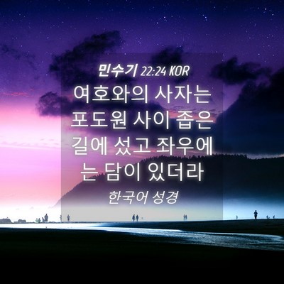 Picture 04 - 민수기 22:24 KOR - 여호와의 사자는 포도원 사이 좁은 - Bible Verse Picture