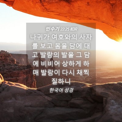 Picture 04 - 민수기 22:25 KOR - 나귀가 여호와의 사자를 보고 몸을 - Bible Verse Picture