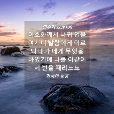 Picture 04 - 민수기 22:28 KOR - 여호와께서 나귀 입을 여시니 - Bible Verse Picture
