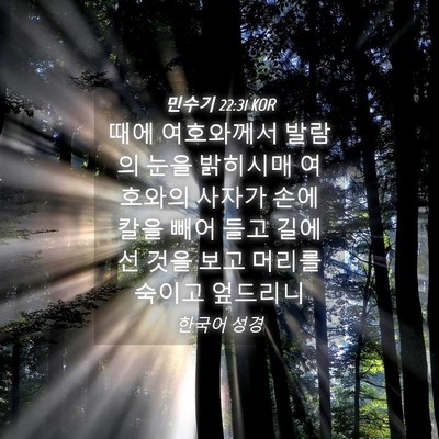 Picture 04 - 민수기 22:31 KOR - 때에 여호와께서 발람의 눈을 - Bible Verse Picture