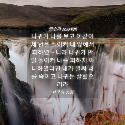 Picture 04 - 민수기 22:33 KOR - 나귀가 나를 보고 이같이 세 번을 - Bible Verse Picture