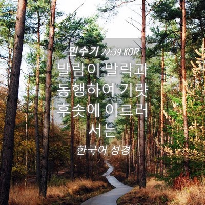 Picture 04 - 민수기 22:39 KOR - 발람이 발락과 동행하여 기럇후솟에 - Bible Verse Picture
