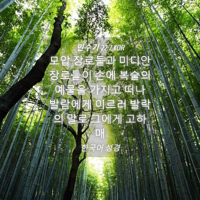 Picture 04 - 민수기 22:7 KOR - 모압 장로들과 미디안 장로들이 손에 - Bible Verse Picture