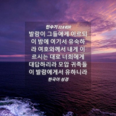 Picture 04 - 민수기 22:8 KOR - 발람이 그들에게 이르되 이 밤에 - Bible Verse Picture