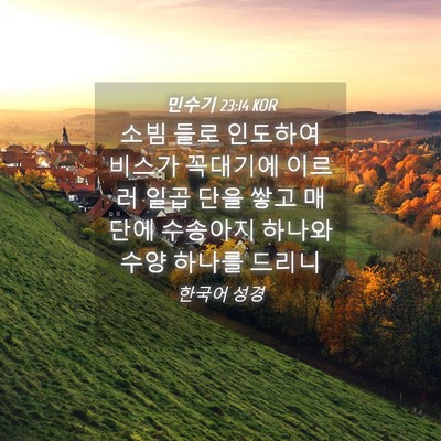 Picture 04 - 민수기 23:14 KOR - 소빔 들로 인도하여 비스가 꼭대기에 - Bible Verse Picture