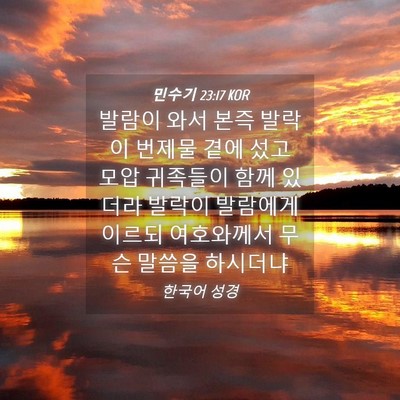 Picture 04 - 민수기 23:17 KOR - 발람이 와서 본즉 발락이 번제물 - Bible Verse Picture