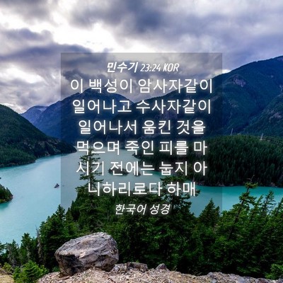 Picture 04 - 민수기 23:24 KOR - 이 백성이 암사자같이 일어나고 - Bible Verse Picture