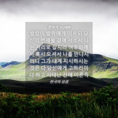 Picture 04 - 민수기 23:3 KOR - 발람이 발락에게 이르되 당신의 - Bible Verse Picture