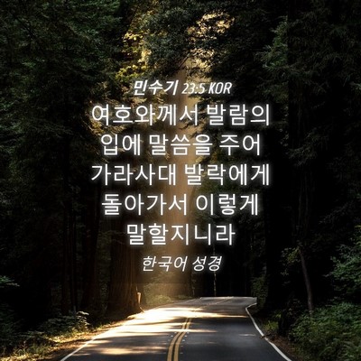 Picture 04 - 민수기 23:5 KOR - 여호와께서 발람의 입에 말씀을 주어 - Bible Verse Picture