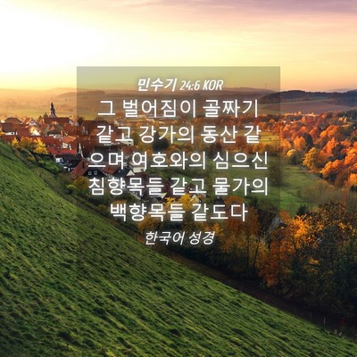 Picture 04 - 민수기 24:6 KOR - 그 벌어짐이 골짜기 같고 강가의 - Bible Verse Picture