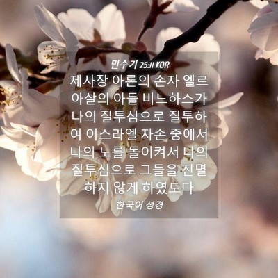 Picture 04 - 민수기 25:11 KOR - 제사장 아론의 손자 엘르아살의 아들 - Bible Verse Picture
