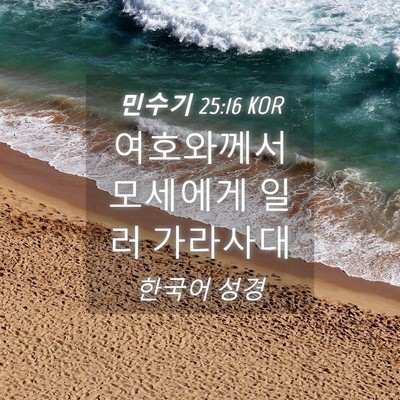 Picture 04 - 민수기 25:16 KOR - 여호와께서 모세에게 일러 - Bible Verse Picture