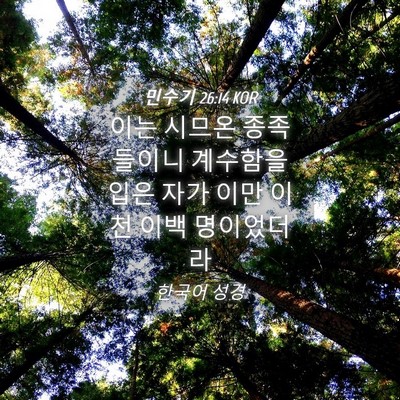 Picture 04 - 민수기 26:14 KOR - 이는 시므온 종족들이니 계수함을 - Bible Verse Picture