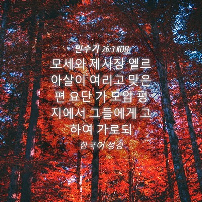 Picture 04 - 민수기 26:3 KOR - 모세와 제사장 엘르아살이 여리고 - Bible Verse Picture