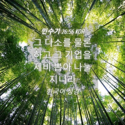 Picture 04 - 민수기 26:56 KOR - 그 다소를 물론하고 그 기업을 제비 - Bible Verse Picture