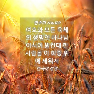 Picture 04 - 민수기 27:16 KOR - 여호와 모든 육체의 생명의 - Bible Verse Picture