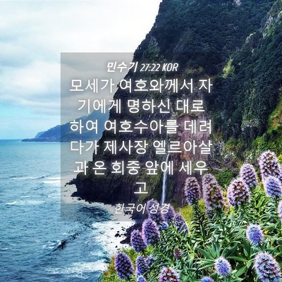 Picture 04 - 민수기 27:22 KOR - 모세가 여호와께서 자기에게 명하신 - Bible Verse Picture